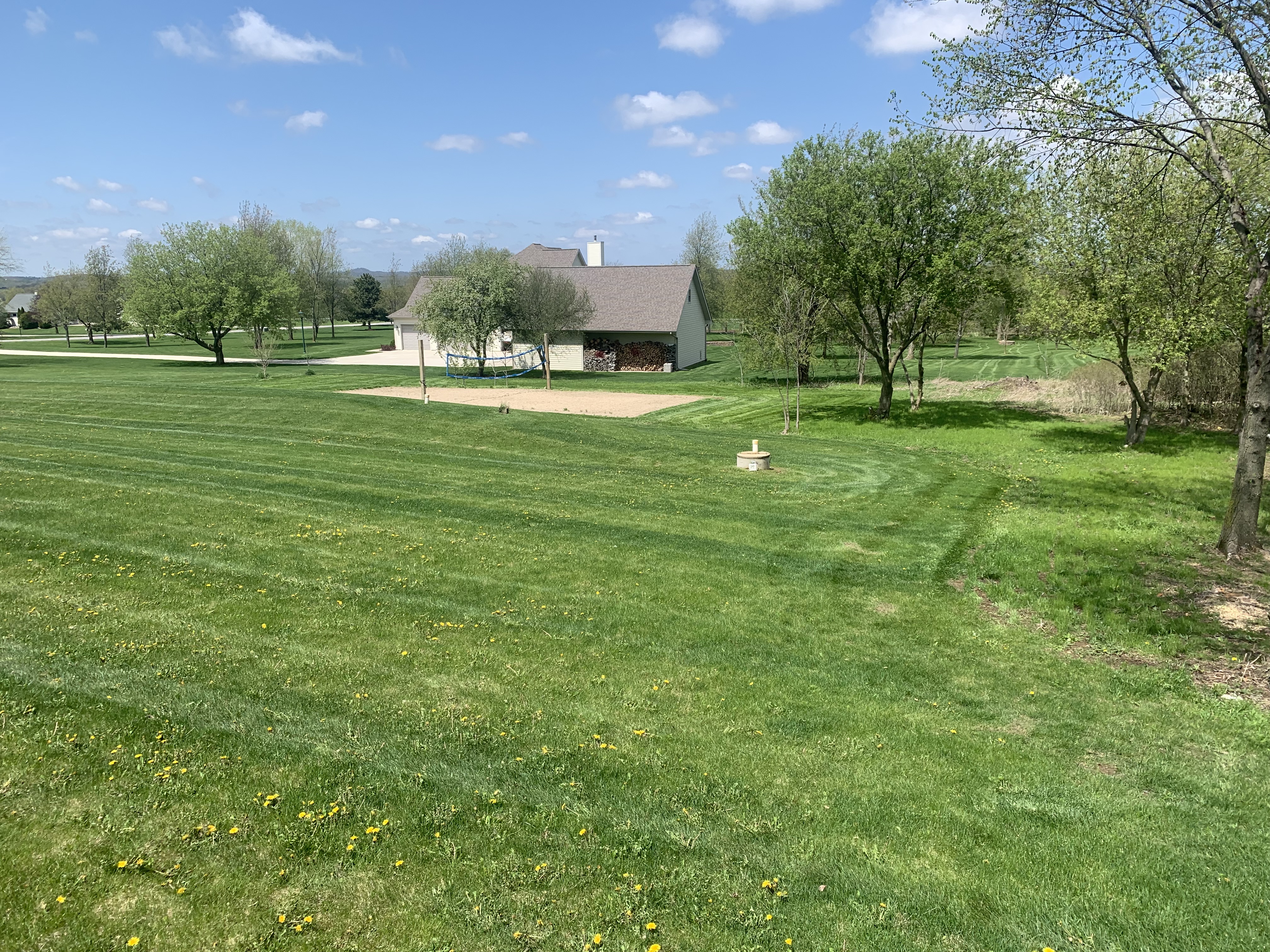 Large lawn transformation